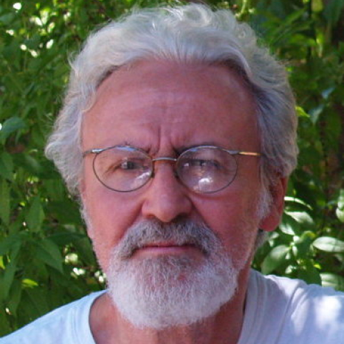 Foto do palestrante